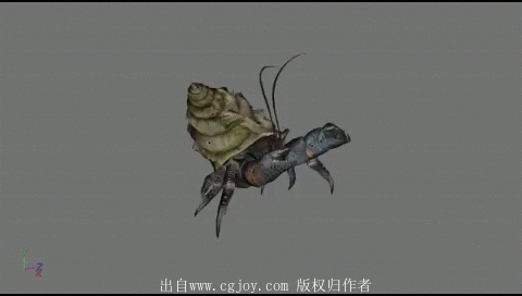 10.gif
