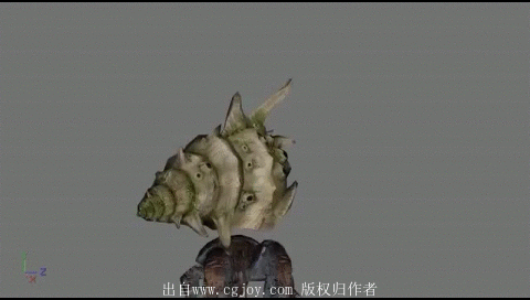 13.gif