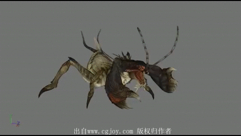26.gif