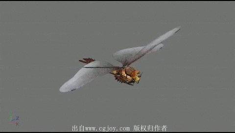 25.gif