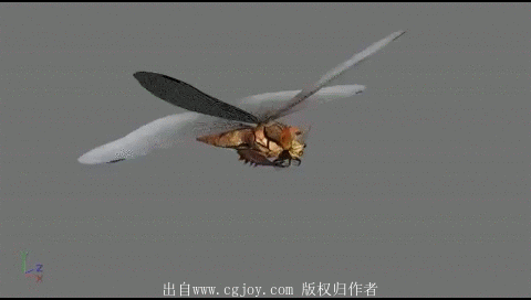 26.gif