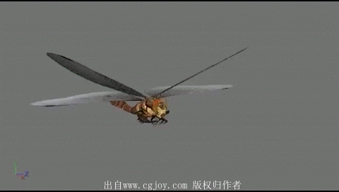 27.gif