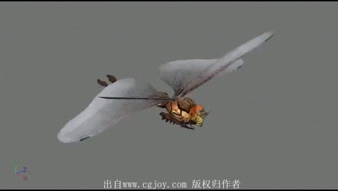 28.gif