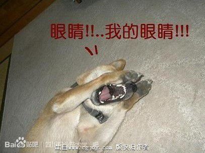 [2d特效] 鬼眼biubiubiu.