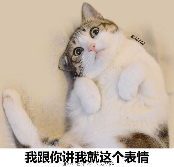 123.jpg