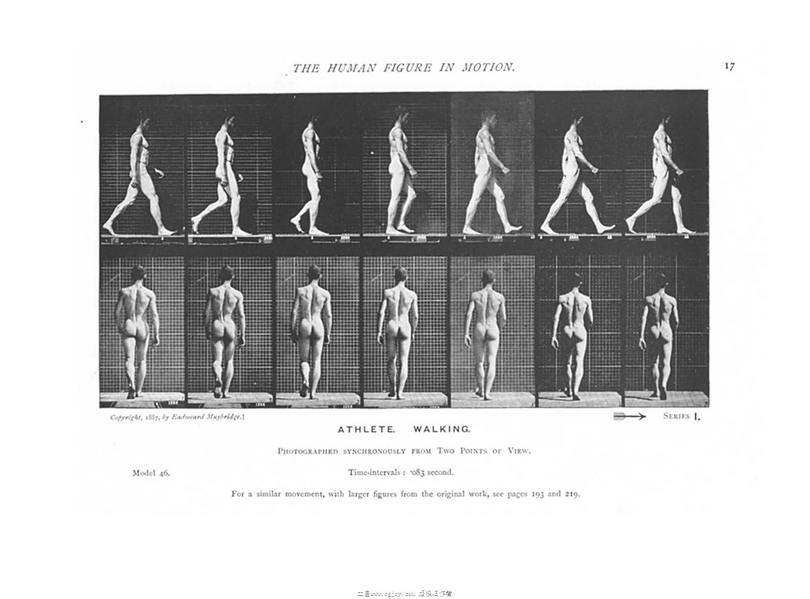 1058954-00_014_0001-embed.jpg