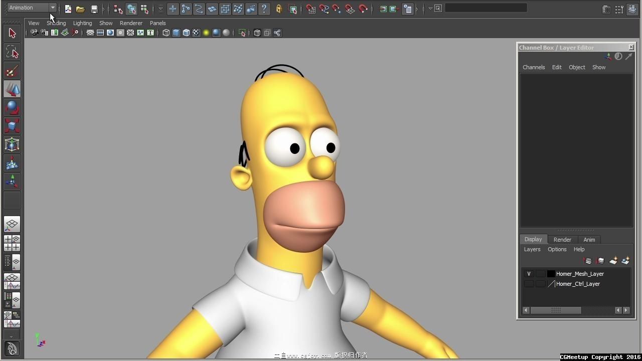 Simpson-3d-rig-1.jpg