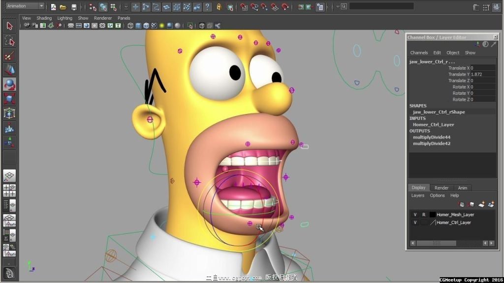Simpson-3d-rig-2.jpg