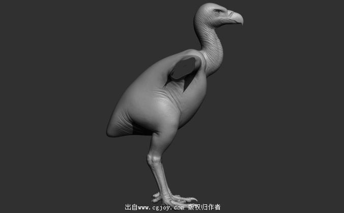 realistic-vulture-3d-model-max-3ds-ztl-tga.jpg