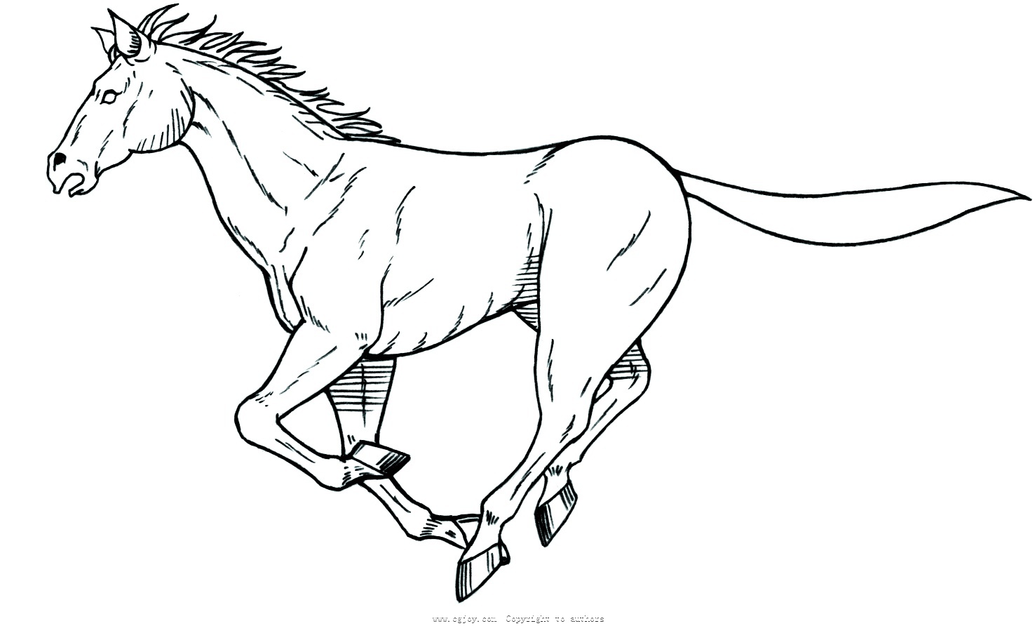 一只奔跑的马简笔画图片