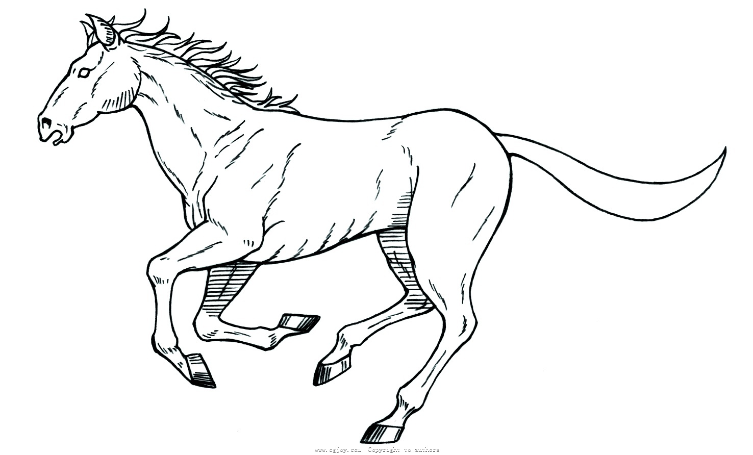 奔跑的马简笔画图片