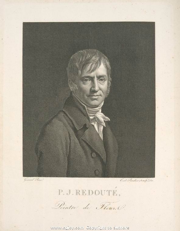 002 P.J. Redoute 'Peintre de Fleurs' (portrait).jpg