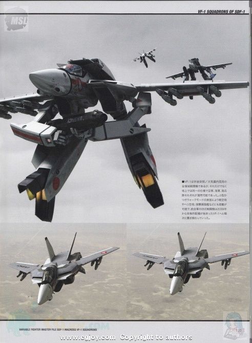 ʱҪ VARIABLE FIGHTER MASTER FILE SDF-1 MACROSS VF-1 SQUADRONS  趨 (7).jpg