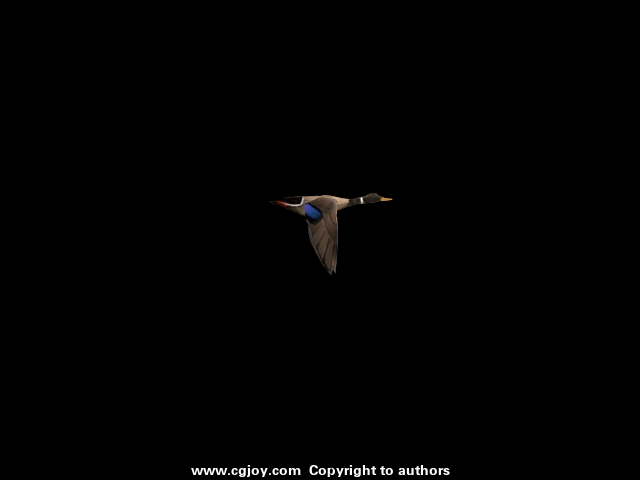 fly.gif