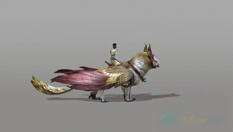 11.gif