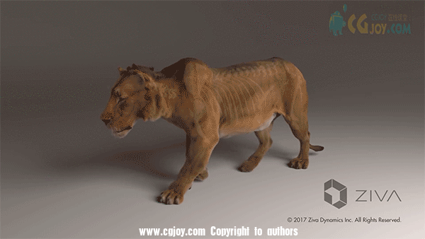 2.gif