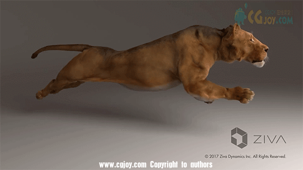 6.gif