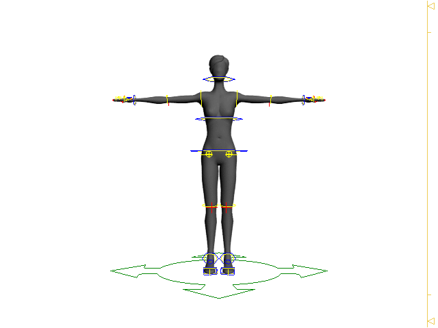 rig_test.gif