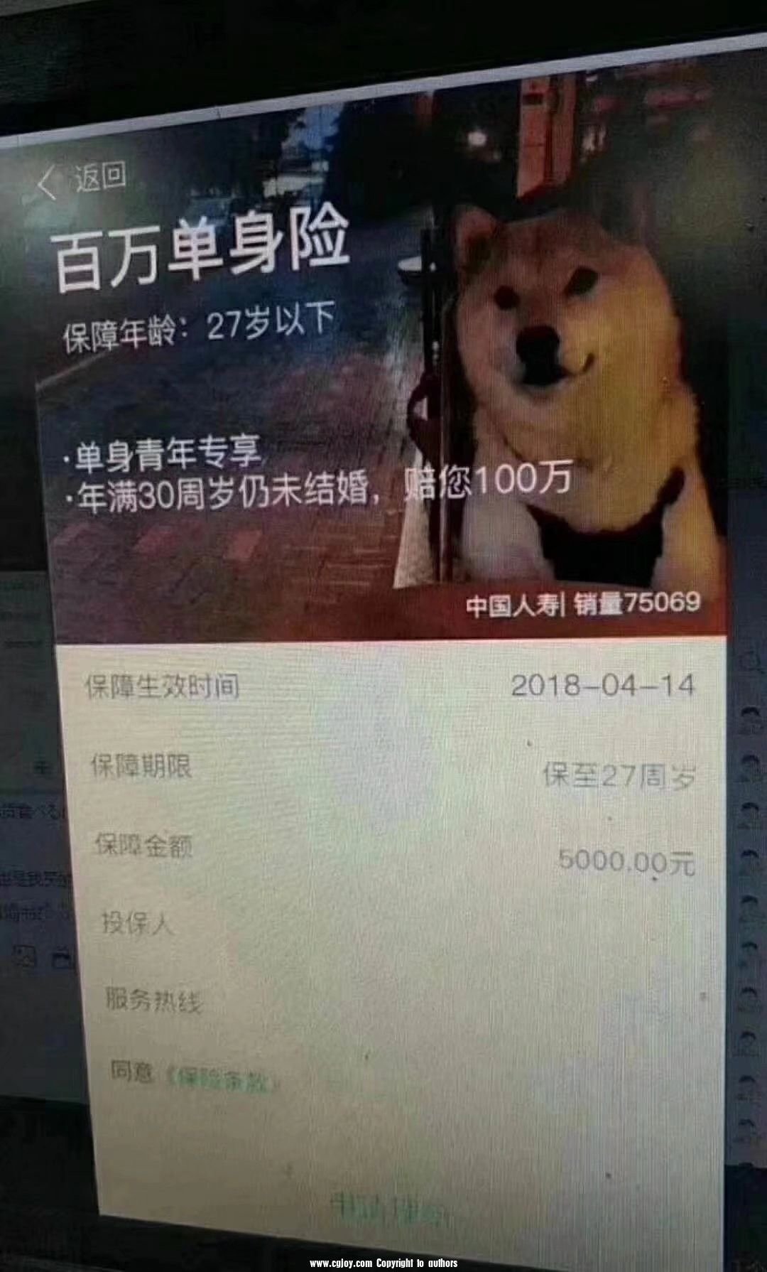0.jpg