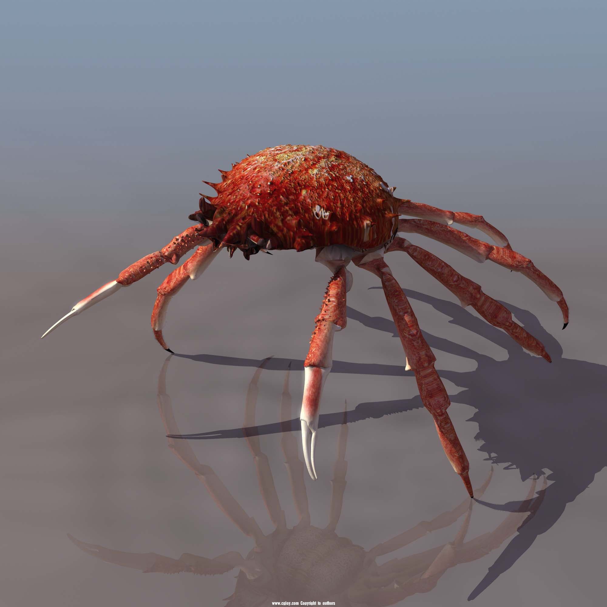 CRAB_01.jpg