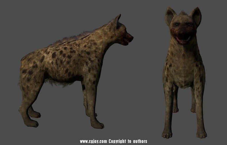 hyena.jpg