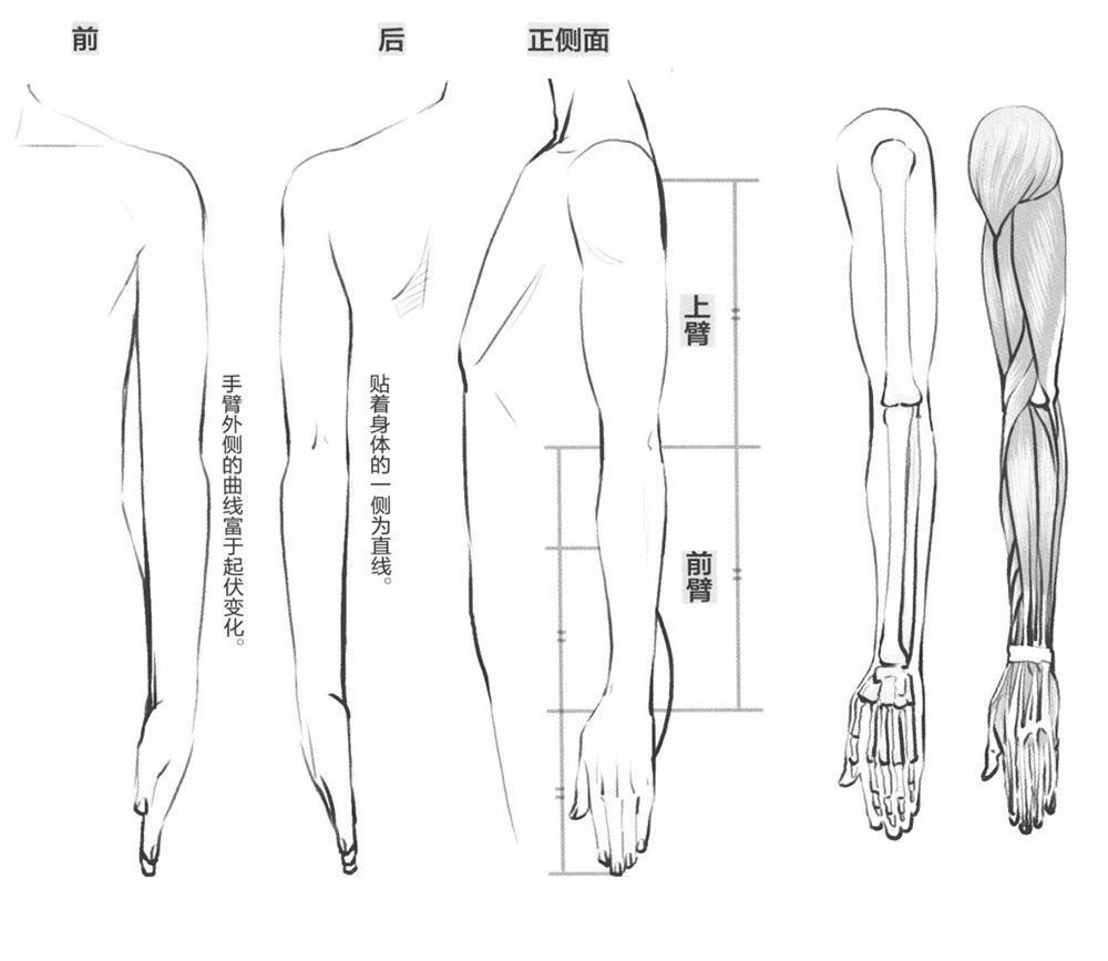 经验 动漫人物手臂怎么画? 超详细教程