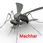 ⾭߾ģ Machhar.gif