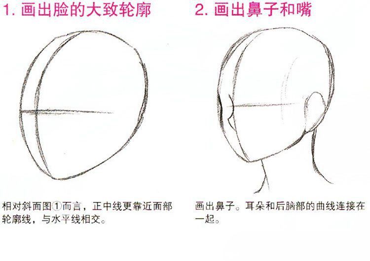 2.畫出鼻子和嘴:畫出鼻子.耳朵和後腦部的曲線連接在一起.