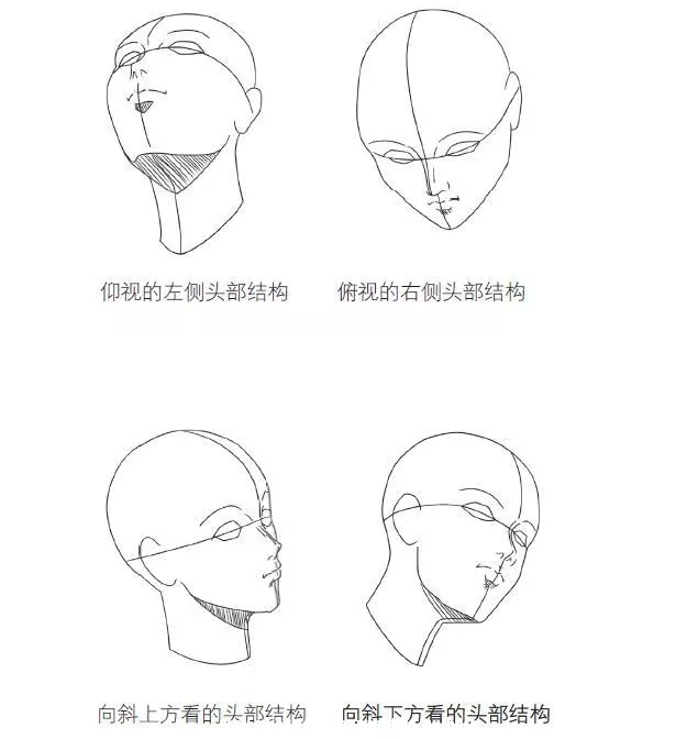 头的卡通图片部位图片