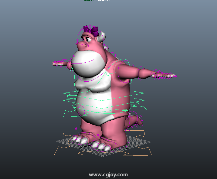 denise_rig