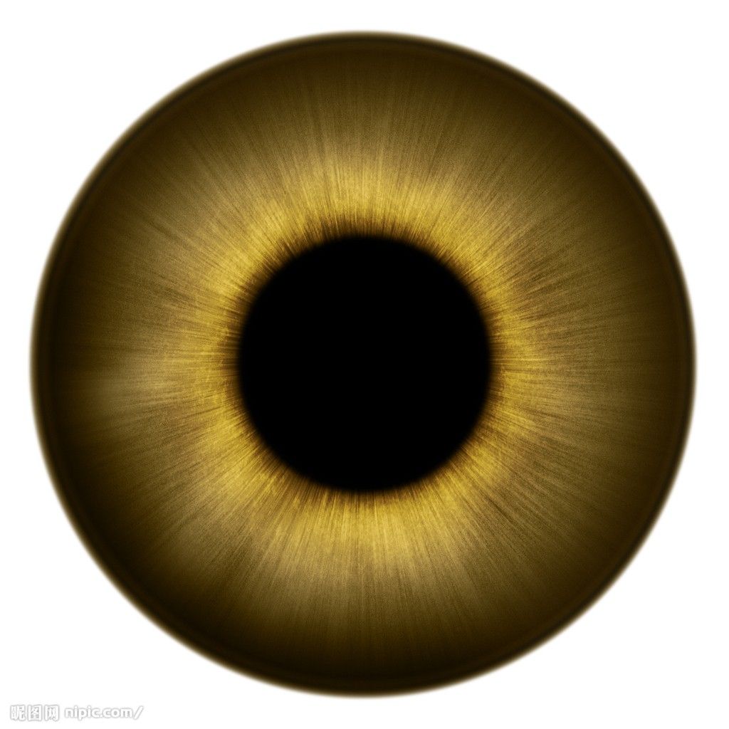 200839124358953_2.jpg