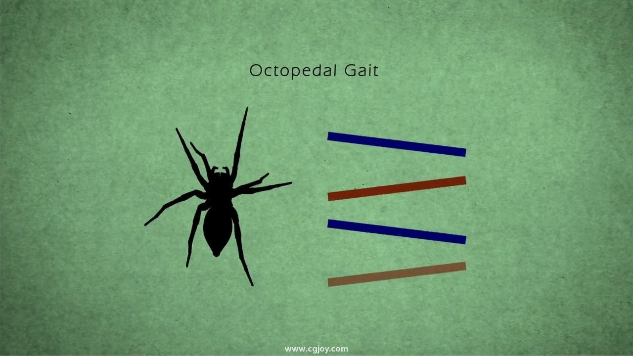 Bug Gaits for Animators.mp4_snapshot_00.33.582.jpg