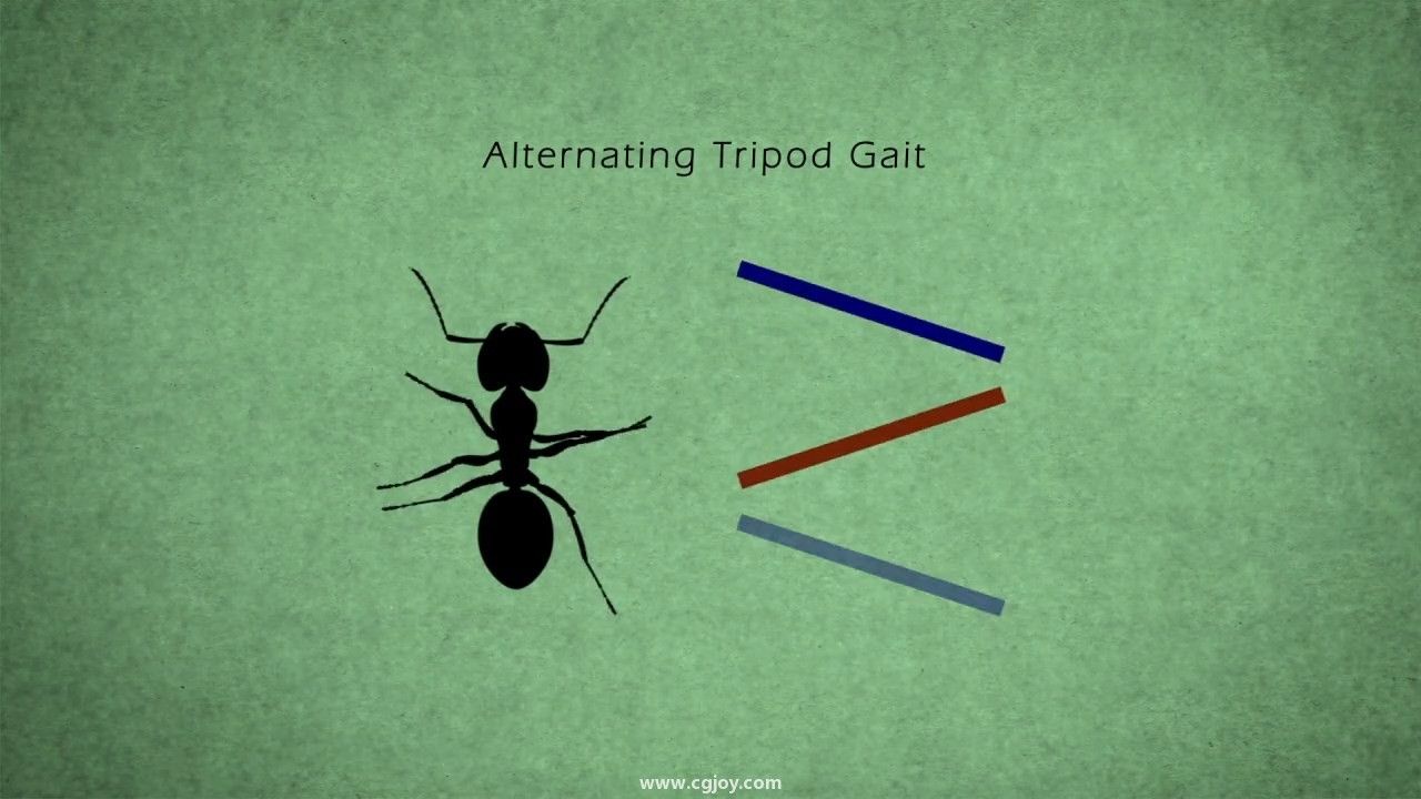 Bug Gaits for Animators.mp4_snapshot_00.15.707.jpg