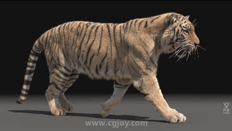 39.gif