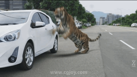 41.gif