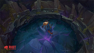 5.gif