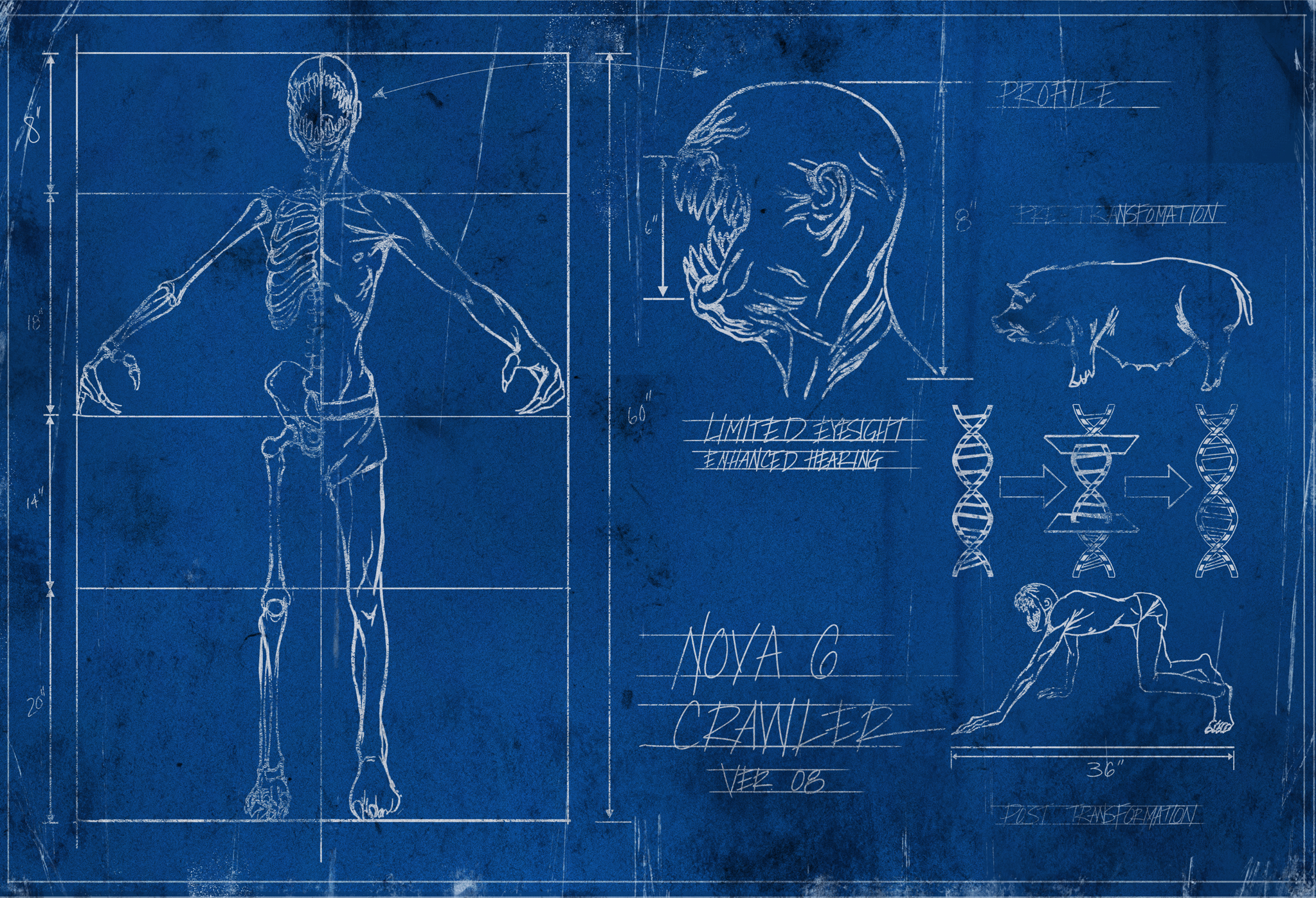 Call of DutyBlack Ops Zombies - Nova Crawler 6.png