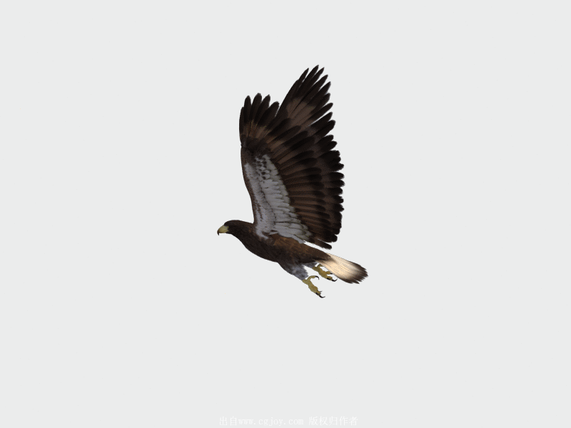 www.cgjoy.com1 (1).gif