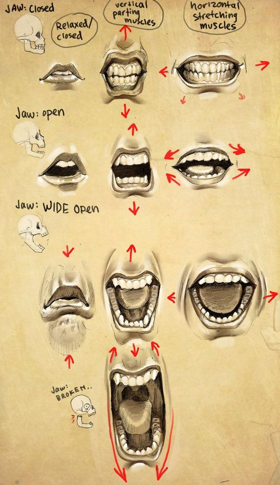 口型与表情动画规律图片