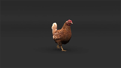 4.gif