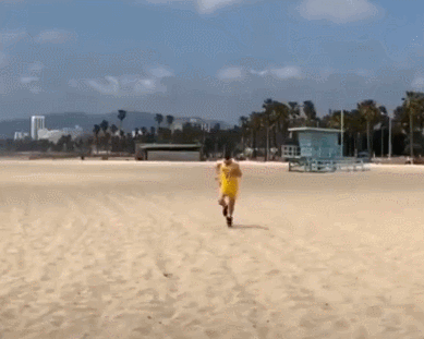 31.gif