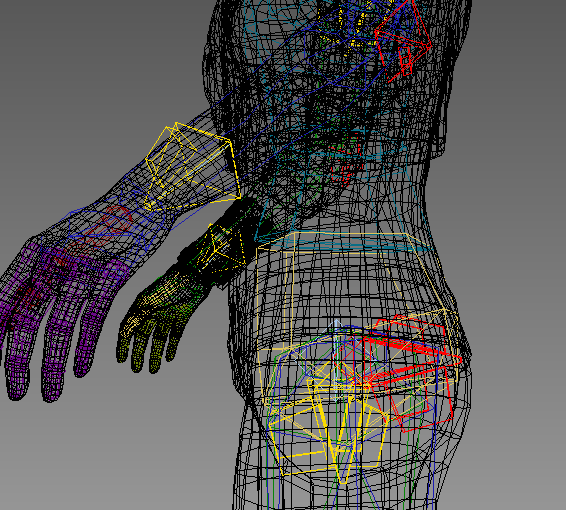 �β���������