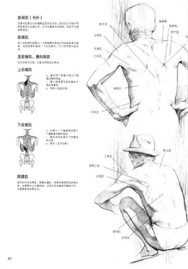 loaz5vpuhtag6eomt6hpqn0fhsrtsxmr.jpg_tplv-banciyuan-w650.jpg