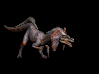 1.gif