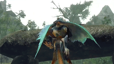 4.gif