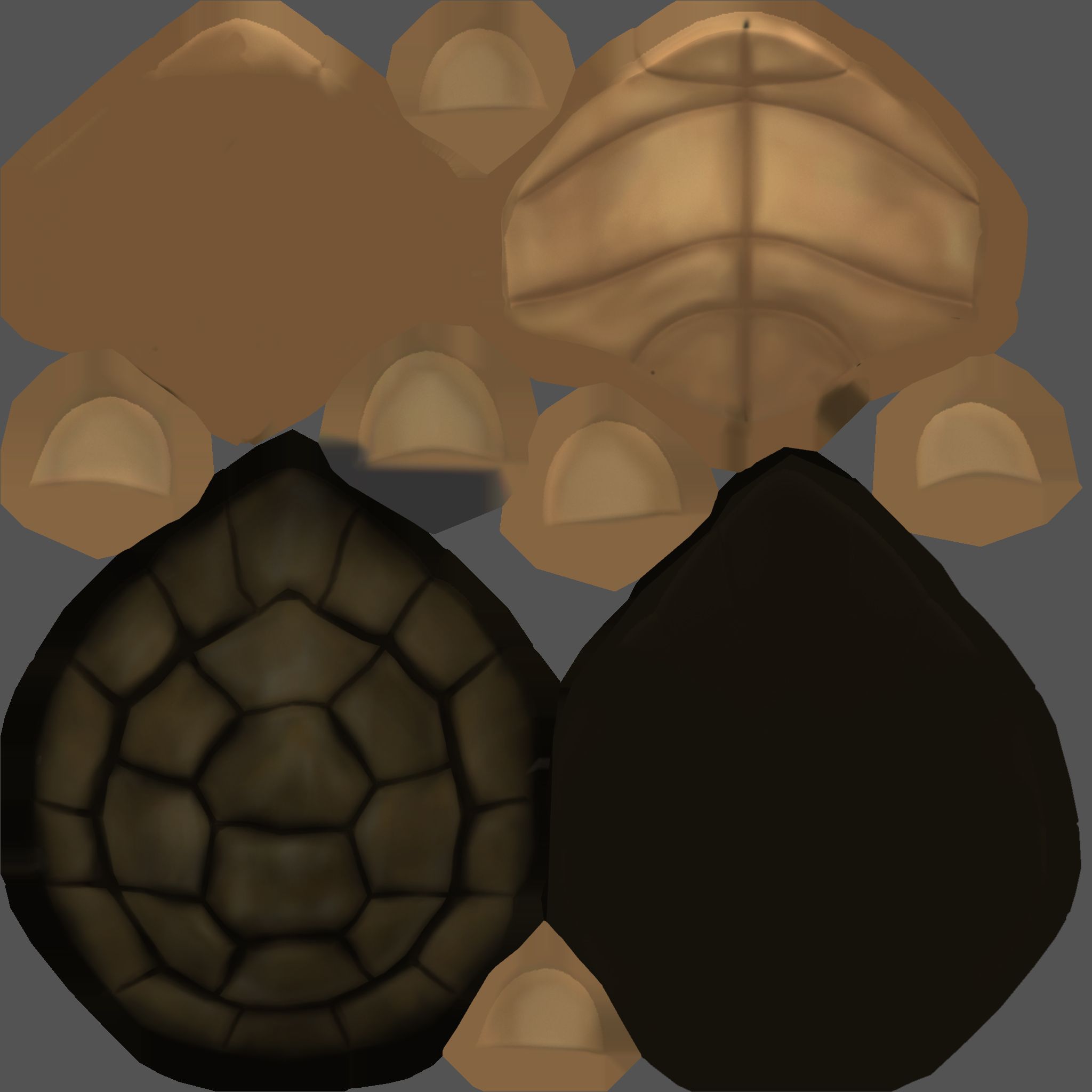 Texture_Shell.jpg