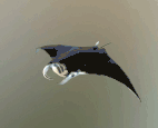 4c1aaa8af3854a359b46af3260b10494.gif