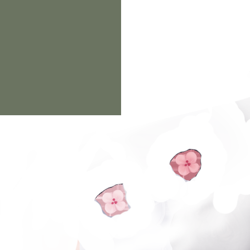 huanzhi.png
