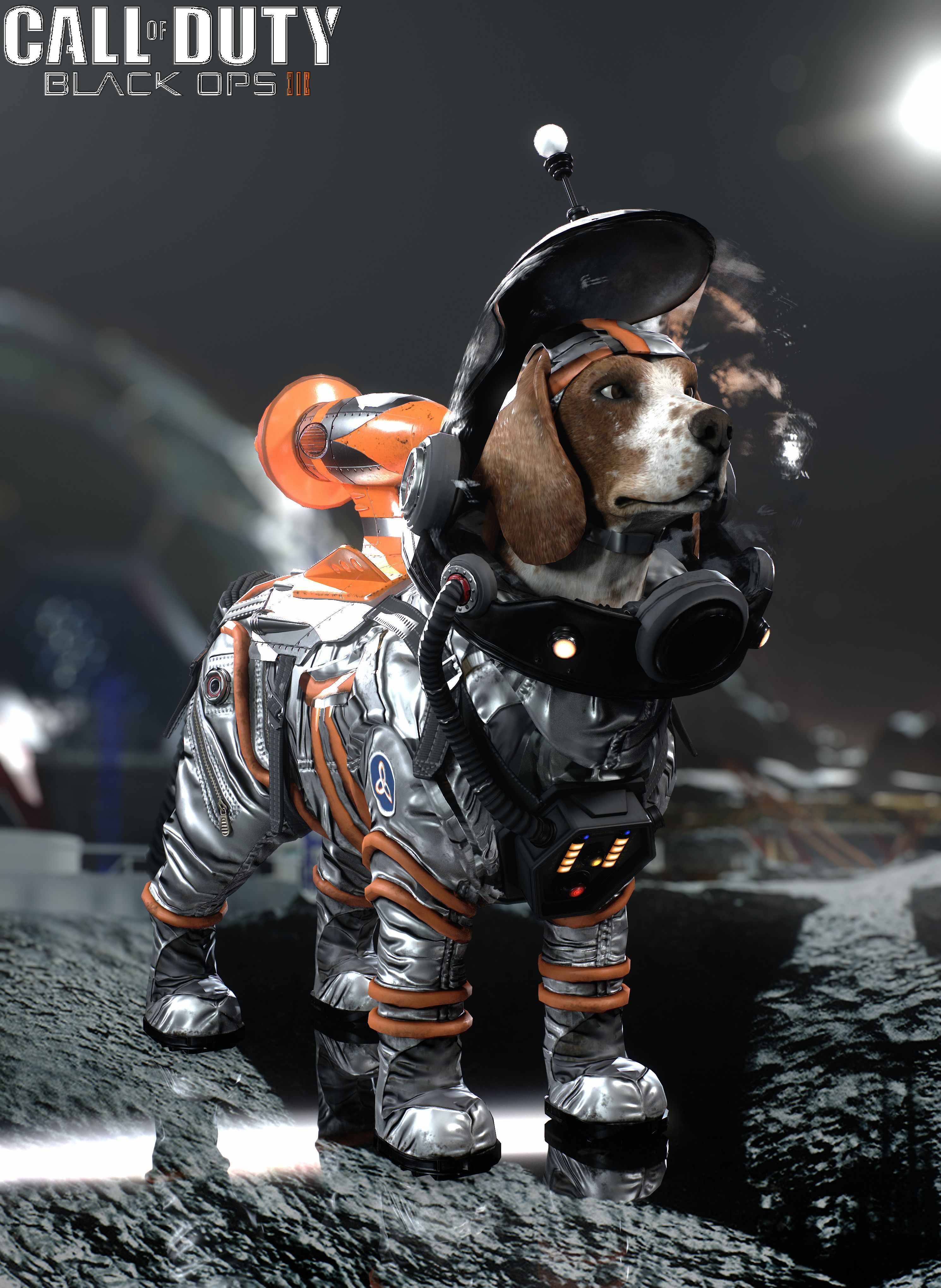 goodboi.jpg