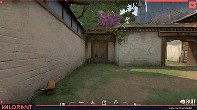 w05.gif